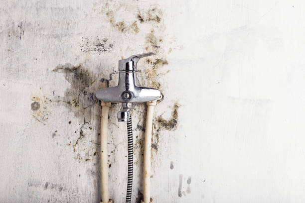 Best Mold Cleaning Services  in Karnes City, TX
