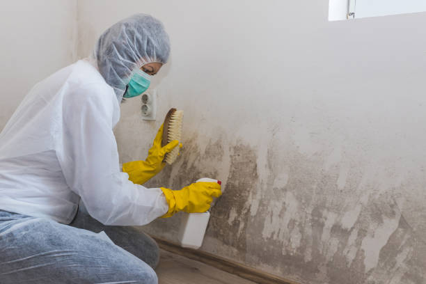 Best Mold Remediation Services  in Karnes City, TX