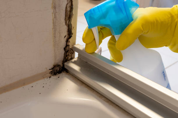 Best Mold Cleaning Services  in Karnes City, TX