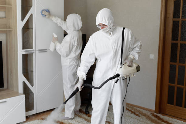 Best Mold Removal Process  in Karnes City, TX