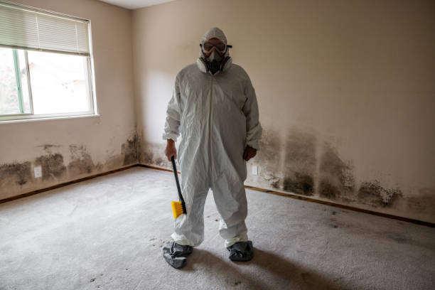 Mold Testing and Removal in Karnes City, TX